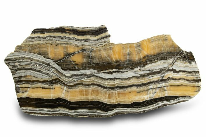 Polished Banded Zebra Calcite Slab - Mexico #308124